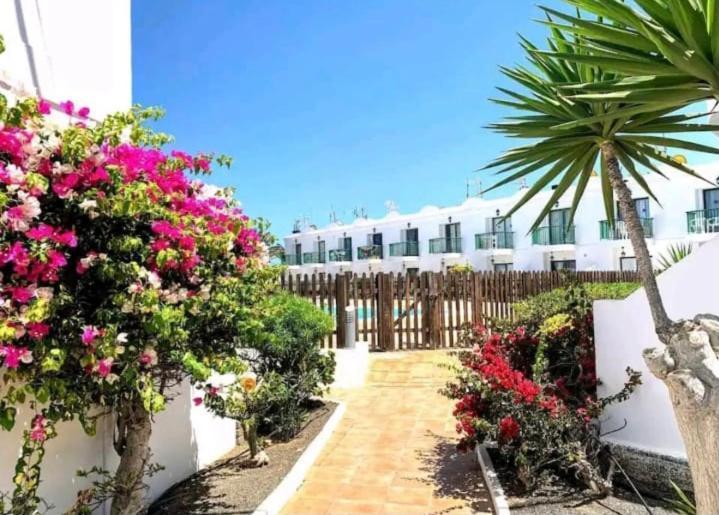 Apartamento San Valentin, Corralejo Apartment Екстериор снимка